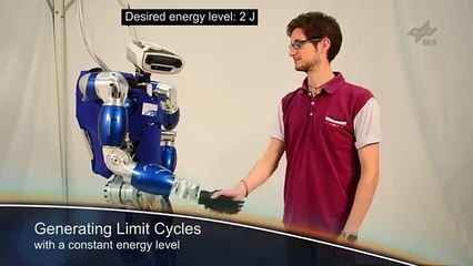 Control Applications of TORO - a Torque Controlled Humanoid Robot