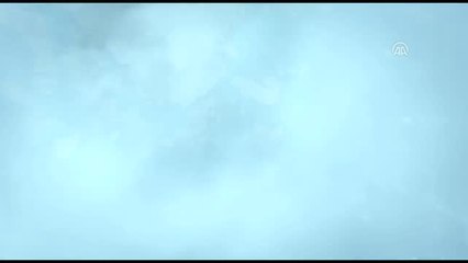 Sinema - Dipdip: Okyanus Macerası - İstanbul