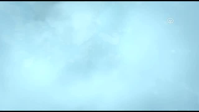 Sinema - Dipdip: Okyanus Macerası - İstanbul