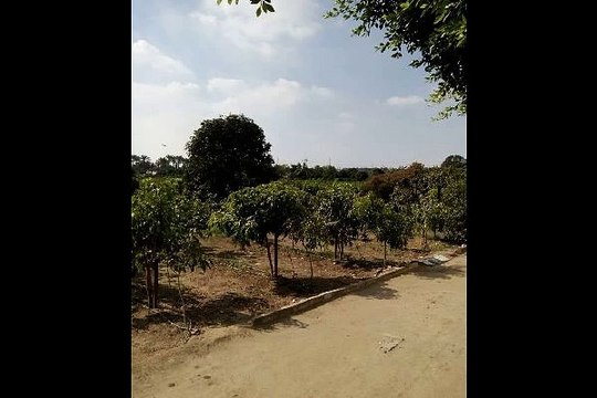 Villa for Sale in Mansuriyah with huge garden