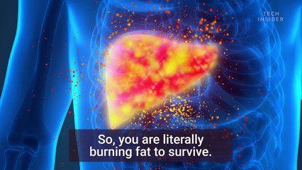 What intermittent fasting does to your body and brain