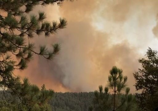 Residents Evacuated as Cranston Fire Burns Thousands of Acres in California