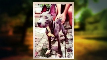 Cesar 911 S01E05