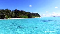 Why do some beaches have clear water while others have murky water?