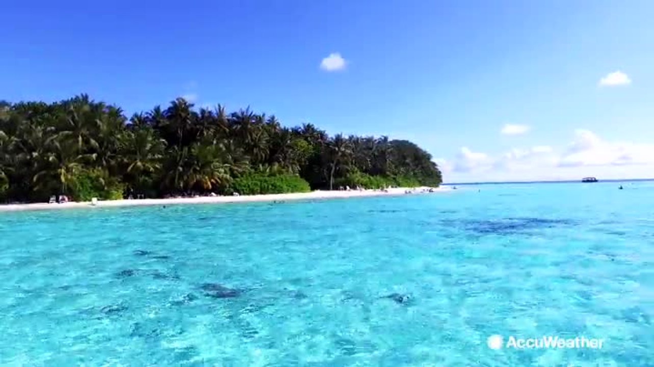 Why do some beaches have clear water while others have murky water?
