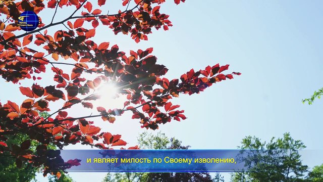 Восточная Молния | Слово Всемогущего Бога «В суде и обличении увидеть явление Бога»