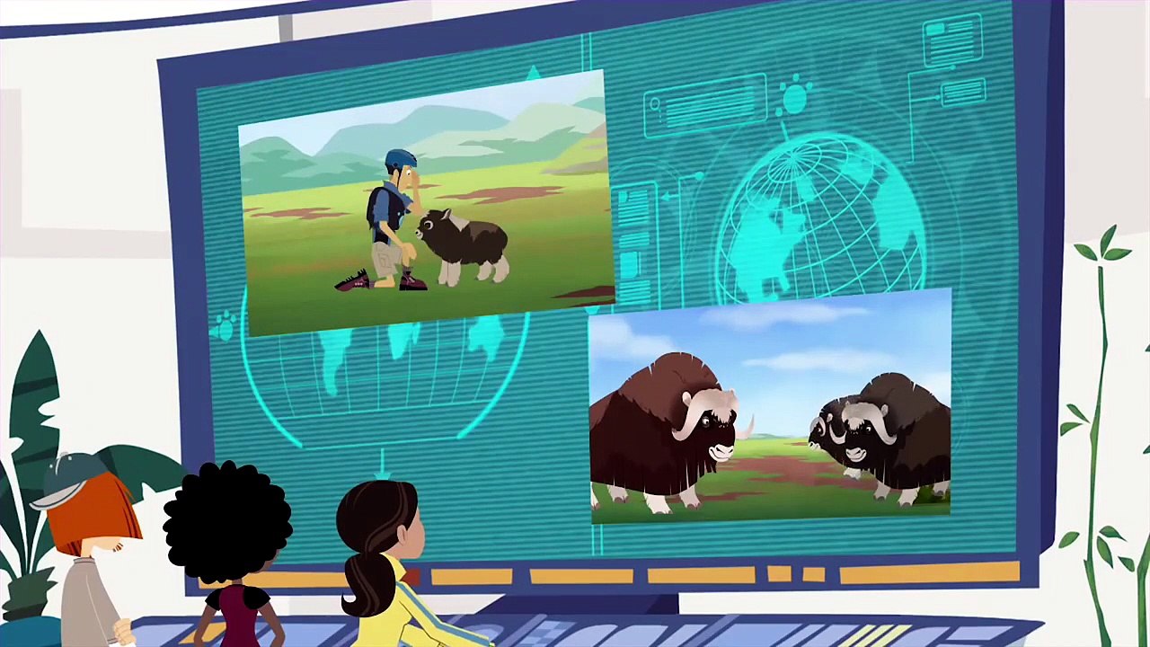 Wild Kratts - Reasons Why We Love Wild Animals  Kids Videos