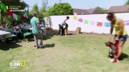 Cesar 911 S02E02