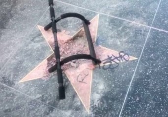 Pickax Attack Ruins President Trump's Hollywood Walk of Fame Star