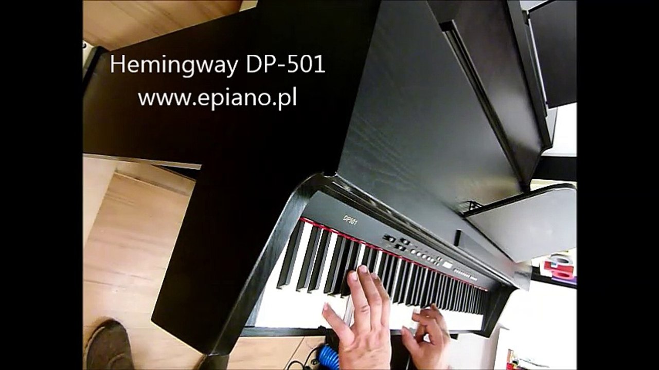 Hemingway DP-501
