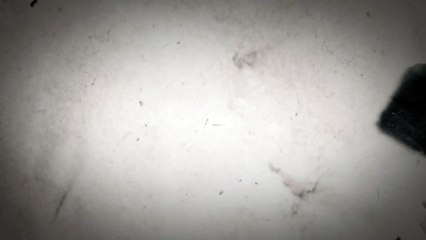 Intro for Kong Esports
