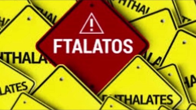 6 ingredientes tóxicos ocultos en tus productos de limpieza