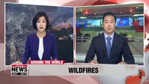 Wildfires spread in Greece, U.S. amid heat wave