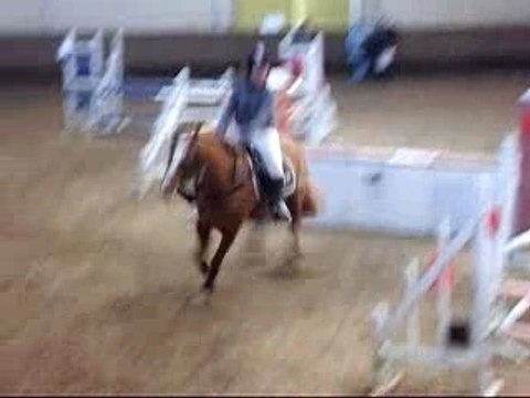 Geai et moi E2,le 16.12