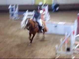 Geai et moi E2,le 16.12