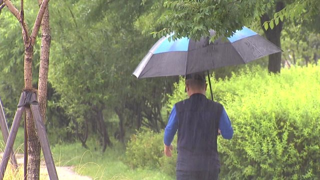 [취재N팩트] 12호 태풍 '종다리', 폭염 꺾는 효자 태풍 될까? / YTN