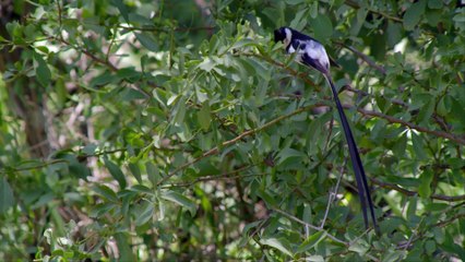 Africas Wild Horizons Series 1 2of6 Vredefort Dome Crater of Life