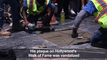 Trump's Hollywood Walk of Fame star vandalized