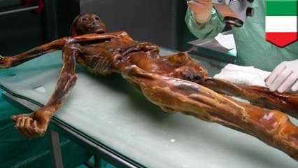 世界最古のミイラ・アイスマン 生前最後の食事内容が判明 - トモニュース
