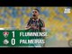 Fluminense 1 x 0 Palmeiras - Melhores Momentos (COMPLETO HD) Campeonato Brasileiro 25/07/2018