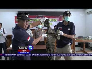 Petugas Gagalkan Penjualan Kulit Harimau-NET5