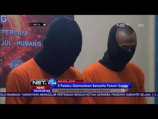 Mahasiswa Diamankan Petugas Karena Menanam Pohon Ganja di Rumah Kontrakan - NET 24