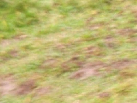 arno Telethon 2007 circuit carole