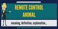 What is REMOTE CONTROL ANIMAL? What does REMOTE CONTROL ANIMAL mean?