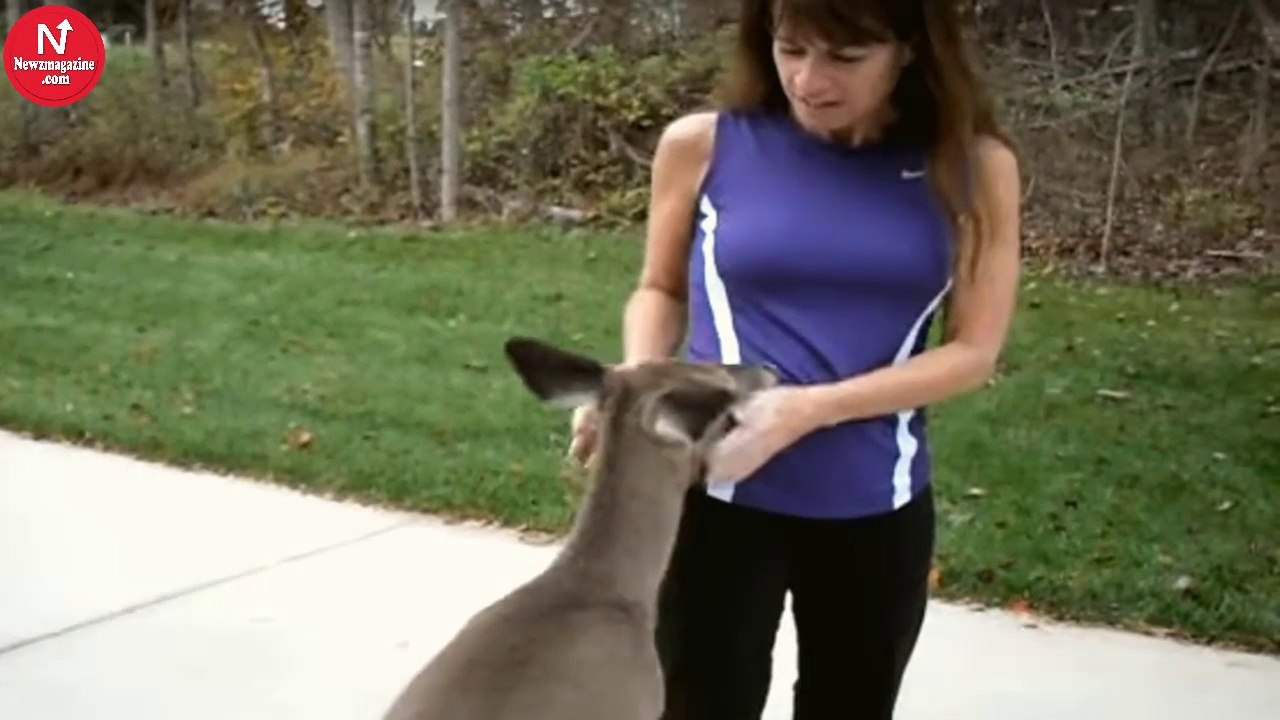 Every Morning, This Woman Calls Out To The Woods. Who Emerges To Greet Her Will Melt Your Heart.