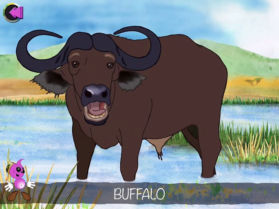 Picture Book For Children – African Wildlife Animals With Flippen for iPad/iPhone game app