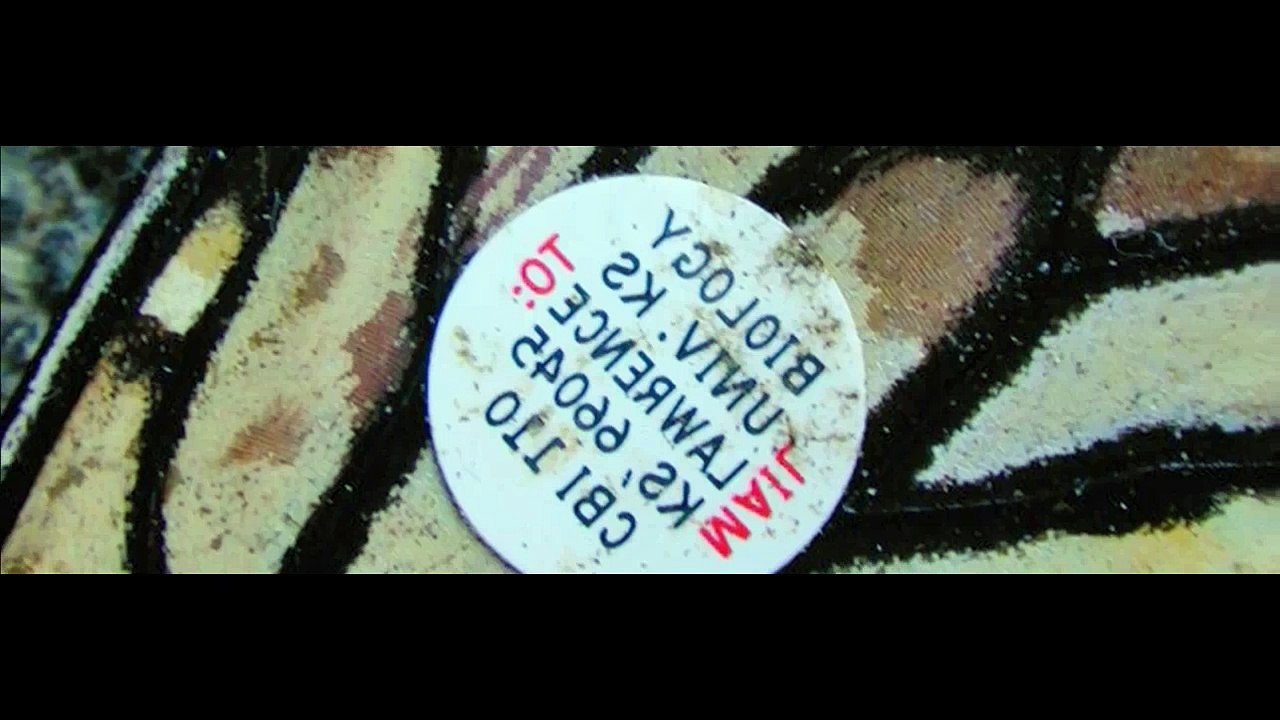 National Geographic Great Migrations EP06 - Science Of Migrations