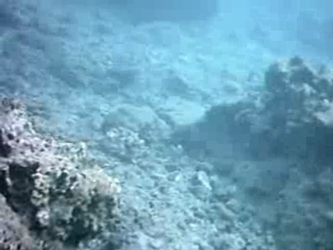 lagon de la reunion filme avec la camera oregon