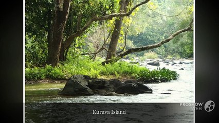 Captivating Destinations in Wayanad