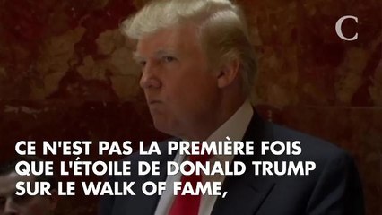 VIDEO. L'étoile de Donald Trump sur le Walk of Fame vandalisée à coups de pioche