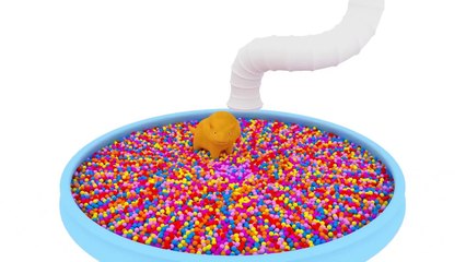 Learn colors and shapes with Dino the Dinosaur and toys & cars | Educational cartoon for c