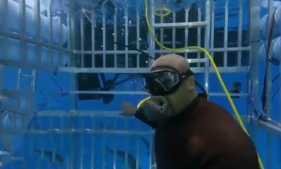 Shaquille O'Neal köpek balığından son anda kurtuldu