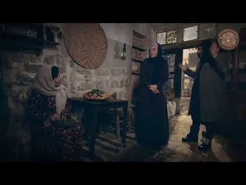 شامية طلع معها حق وابتهال صار لازما حد - شكران مرتجى - سلافة معمار - وردة شامية