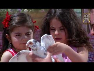 لوحات لا للعنف ـ الحلقة 15 الخامسة عشر والأخيرة كاملة