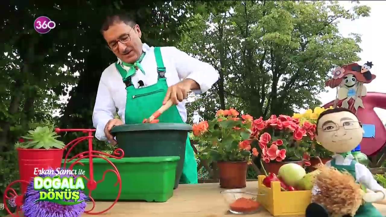 Doğala Dönüş / Saksı değişimi nasıl yapılır?