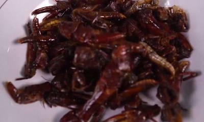 Ngeri-ngeri Sedap (1)