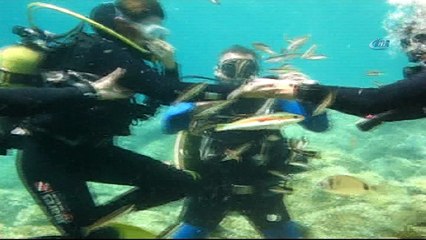 Kravatlı dalgıçlardan mercan avı