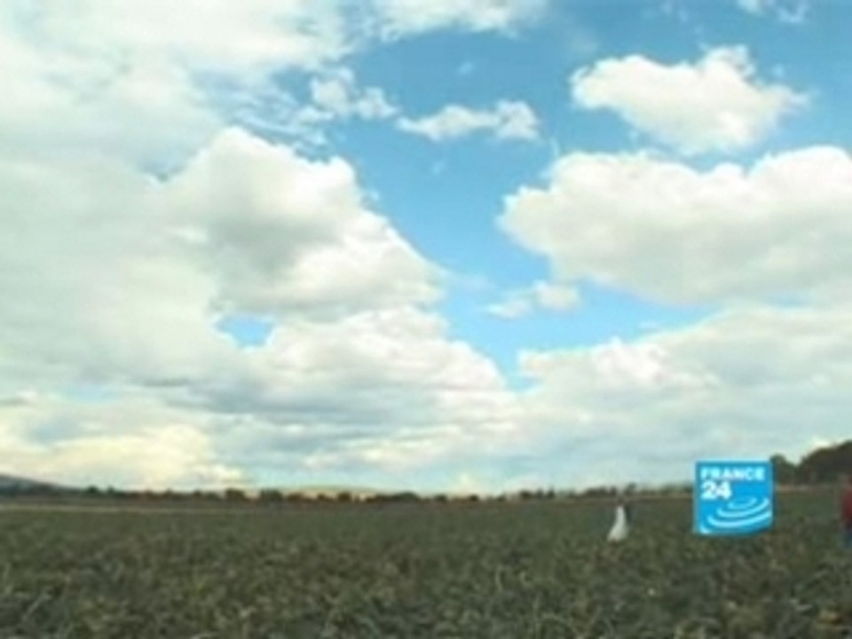 Le nouvel Eldorado de l’agriculture?-Reportage-FR-FRANCE24