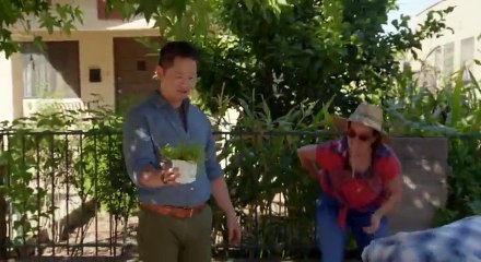 Naturally, Danny Seo S02  E24 Green Living