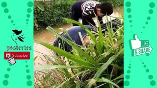 Funny indian videos - videos whatsapp - Funny Videos 2017 Just For Laughs Gags