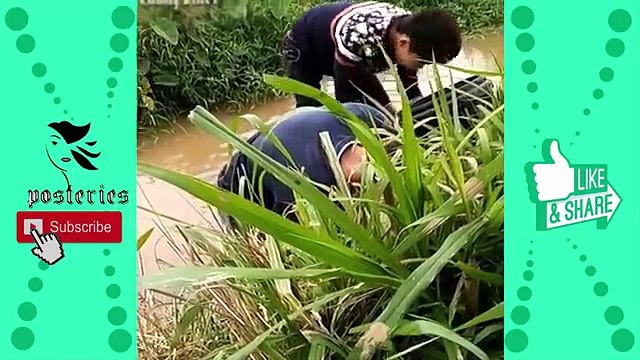 Funny indian videos - videos whatsapp - Funny Videos 2017 Just For Laughs Gags