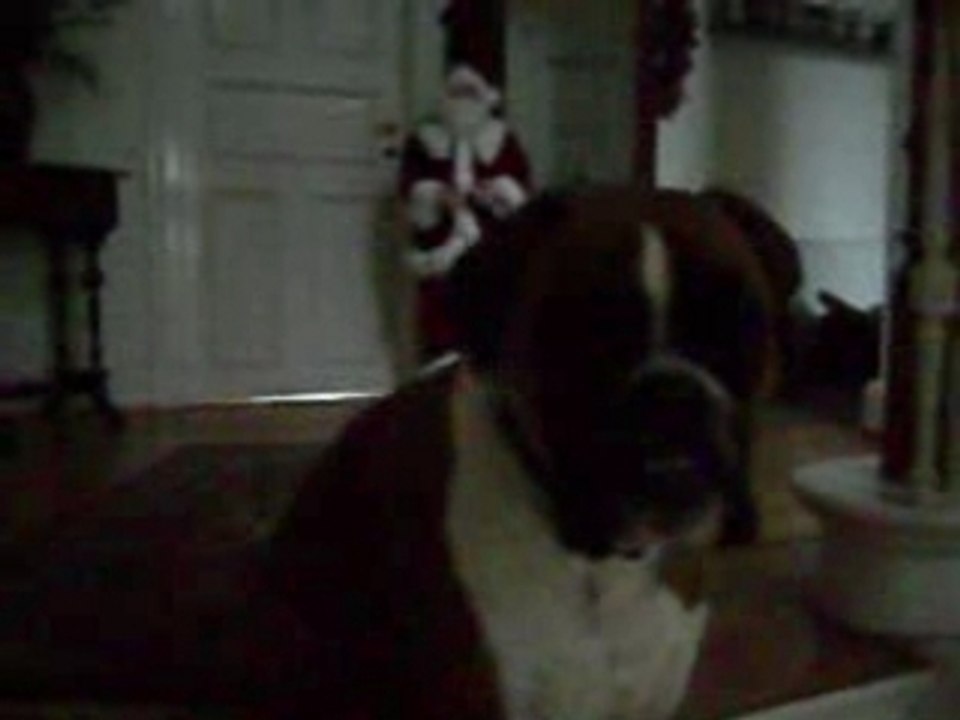 Singender Weihnachtsmann mit Hund