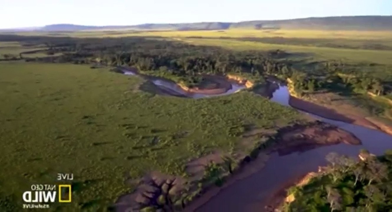 Safari Live Migration S01  E02 Friday, July 14 - Part 03