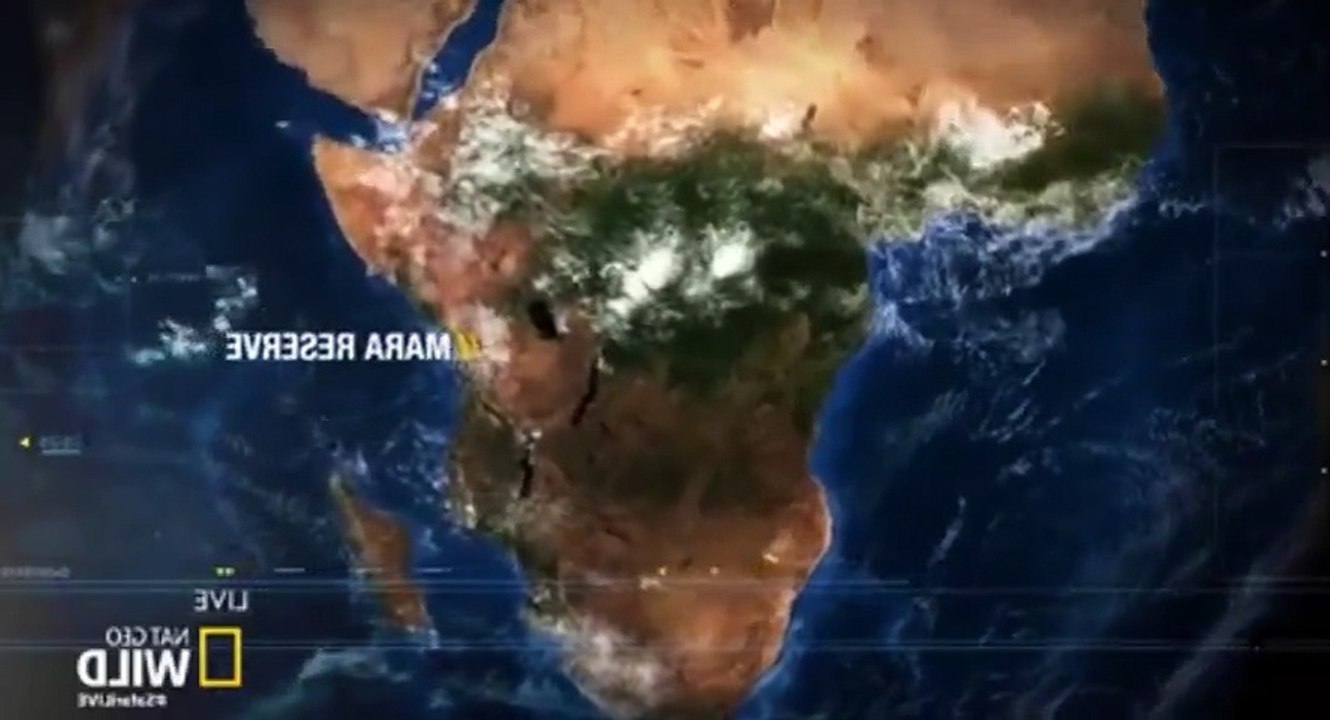 Safari Live Migration S01  E03 Friday, July 21 - Part 01