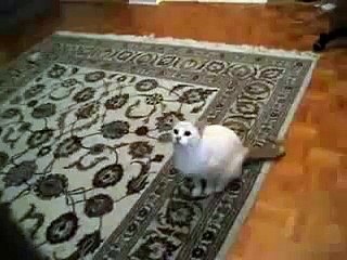 우리카지노【 VP8282。COM 】 *