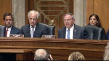 Pompeo defends Trump's Russia policy at Senate testimony